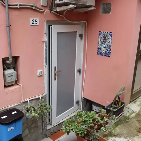 House Venus Apartman *